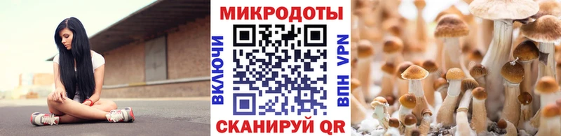 хочу наркоту  Осташков  Псилоцибиновые грибы Cubensis 