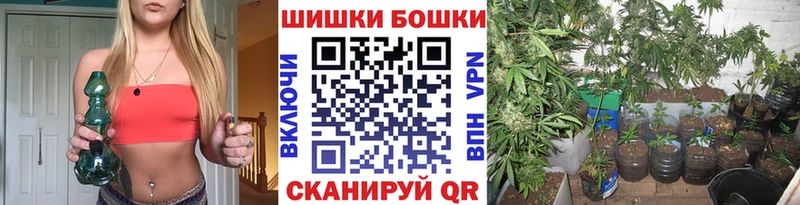 Шишки марихуана план где купить наркотик Осташков